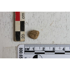 file_image