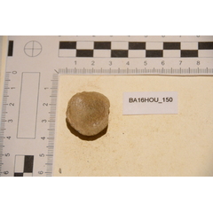 file_image