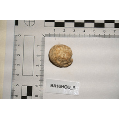 file_image