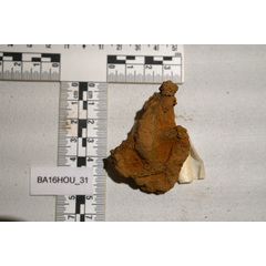 file_image