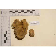 file_image