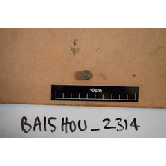 file_image