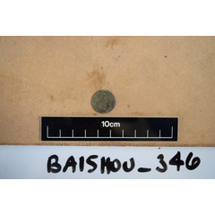 file_image