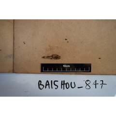 file_image