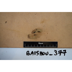 file_image