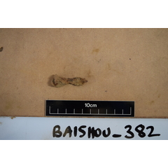 file_image