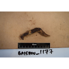 file_image