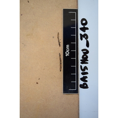 file_image