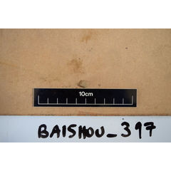 file_image
