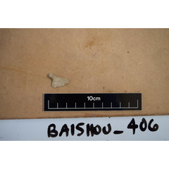 file_image