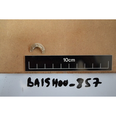 file_image