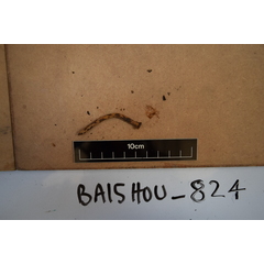file_image