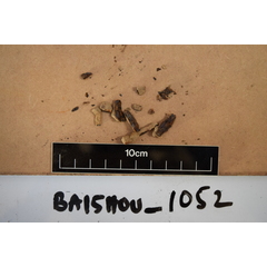 file_image