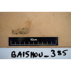 file_image