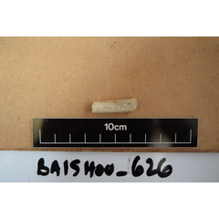 file_image