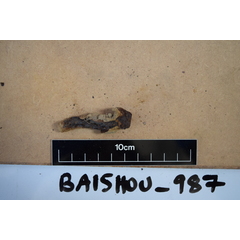 file_image