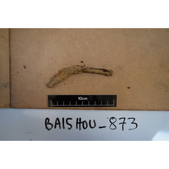 file_image