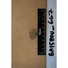 file_image