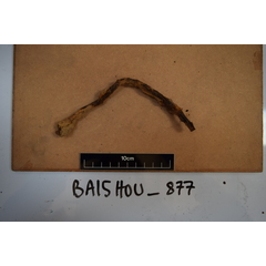 file_image