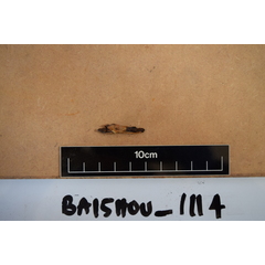 file_image