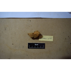 file_image