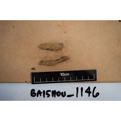 file_image
