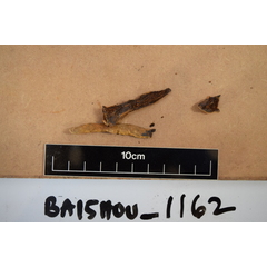 file_image