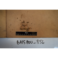 file_image