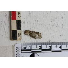 file_image