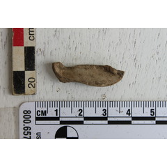 file_image