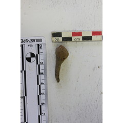 file_image