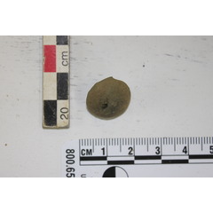 file_image
