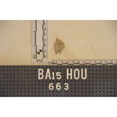 file_image